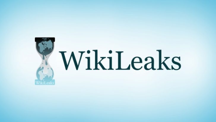 The First Wikileaks Revolution