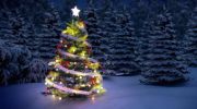 A Short History of the Christmas Tree